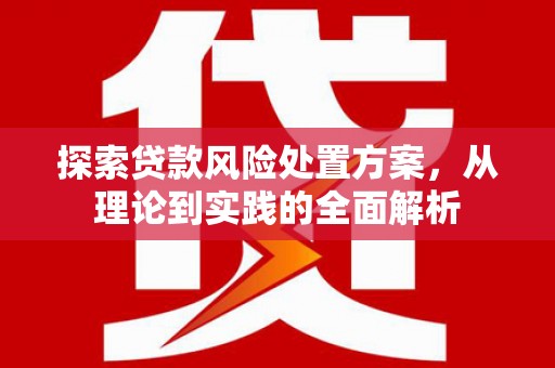 孙吴探索贷款风险处置方案，从理论到实践的全面解析