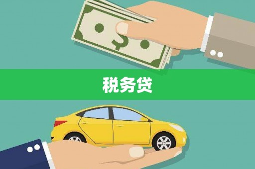 孙吴税务贷
