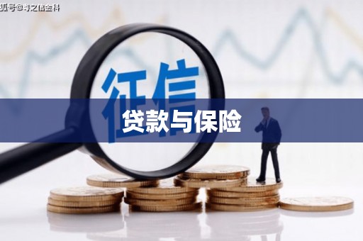 孙吴贷款与保险