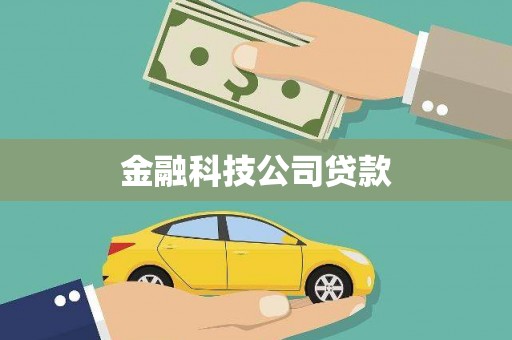 孙吴金融科技公司贷款