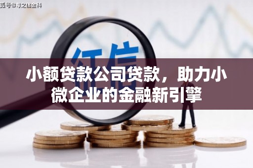 孙吴小额贷款公司贷款，助力小微企业的金融新引擎