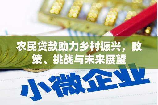 孙吴农民贷款助力乡村振兴，政策、挑战与未来展望