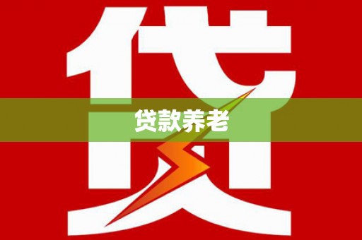 孙吴贷款养老