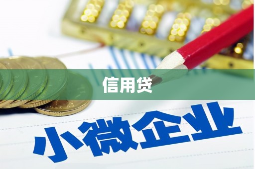 孙吴信用贷