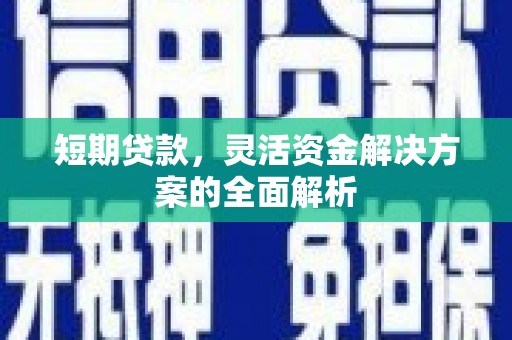 孙吴短期贷款，灵活资金解决方案的全面解析