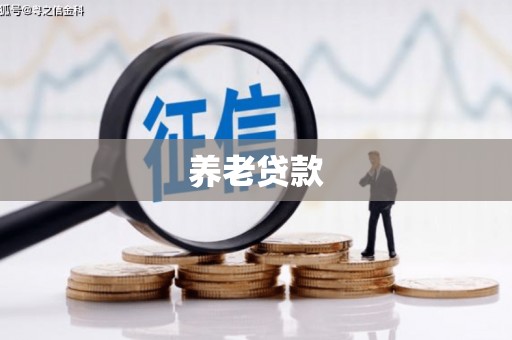 孙吴养老贷款
