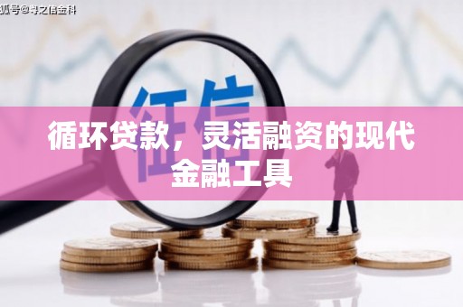 孙吴循环贷款，灵活融资的现代金融工具