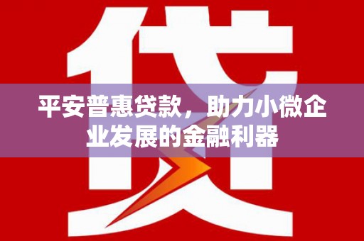 孙吴平安普惠贷款，助力小微企业发展的金融利器