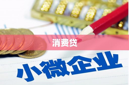 孙吴消费贷