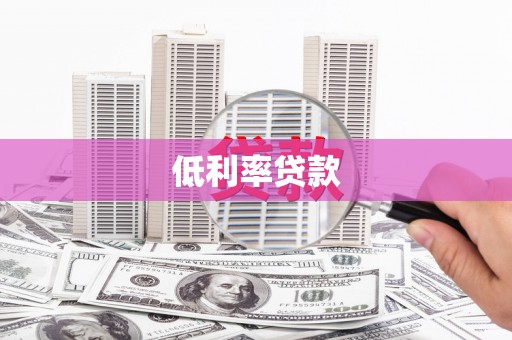 孙吴低利率贷款