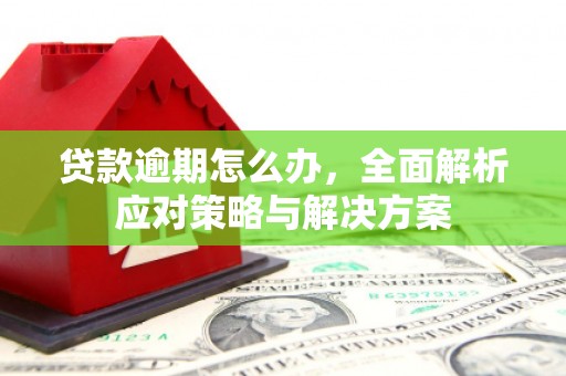 孙吴贷款逾期怎么办，全面解析应对策略与解决方案